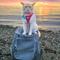 Show in main carousel: Travel Cat The True Adventurer Reflective Cat & Kitten Harness & Leash, Pink, Small slide 8 of 12