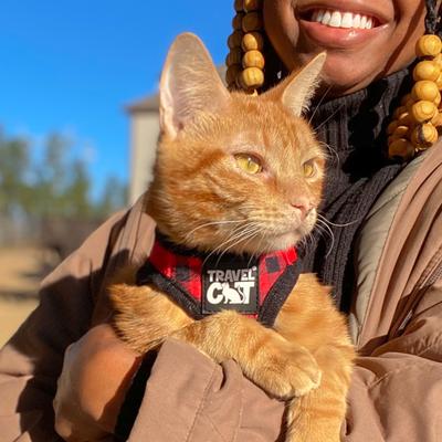 Show full view: Travel Cat The True Adventurer Reflective Cat & Kitten Harness & Leash, Plaid, Large slide 9 of 13