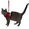 Show in main carousel: Travel Cat The True Adventurer Reflective Cat & Kitten Harness & Leash, Plaid, Large slide 8 of 13
