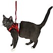 Show in main carousel: Travel Cat The True Adventurer Reflective Cat & Kitten Harness & Leash, Plaid, X-Small slide 7 of 12