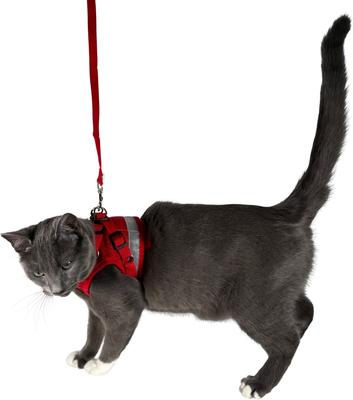 Show full view: Travel Cat The True Adventurer Reflective Cat & Kitten Harness & Leash, Red, Large slide 7 of 12