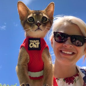 Travel Cat The True Adventurer Reflective Cat & Kitten Harness & Leash, Red, Small