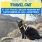 Show in main carousel: Travel Cat The True Adventurer Reflective Cat & Kitten Harness & Leash, The 90s Cat, Medium slide 5 of 12
