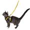 Show in main carousel: Travel Cat The True Adventurer Reflective Cat & Kitten Harness & Leash, The 90s Cat, Medium slide 7 of 12