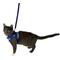Show in main carousel: Travel Cat The True Adventurer Reflective Cat & Kitten Harness & Leash, The Groovy Cat, Extra-Small slide 7 of 12