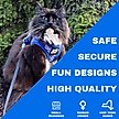 Show in main carousel: Travel Cat The True Adventurer Reflective Cat & Kitten Harness & Leash, The Groovy Cat, Large slide 4 of 12