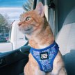 Show in main carousel: Travel Cat The True Adventurer Reflective Cat & Kitten Harness & Leash, The Groovy Cat, Large slide 2 of 12