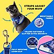 Show in main carousel: Travel Cat The True Adventurer Reflective Cat & Kitten Harness & Leash, The Groovy Cat, Large slide 3 of 12
