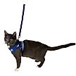 Show in main carousel: Travel Cat The True Adventurer Reflective Cat & Kitten Harness & Leash, The Groovy Cat, Large slide 7 of 12