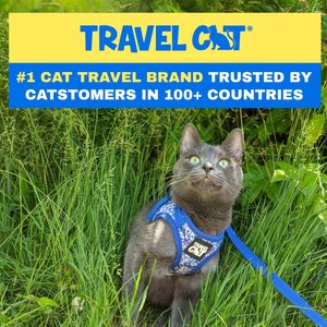 Travel Cat The True Adventurer Reflective Cat & Kitten Harness & Leash, The Groovy Cat, Medium