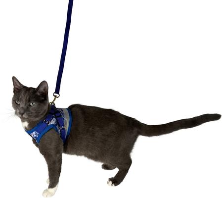 Show full view: Travel Cat The True Adventurer Reflective Cat & Kitten Harness & Leash, The Groovy Cat, Medium slide 7 of 12