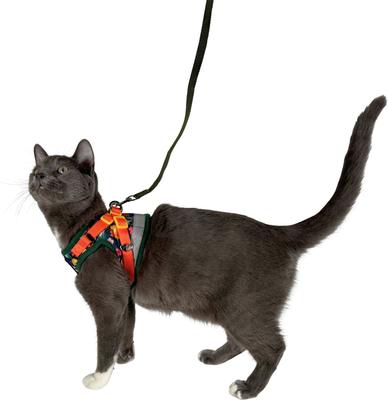 Show full view: Travel Cat The True Adventurer Reflective Cat & Kitten Harness & Leash, The Hawaiian Shirt, Medium slide 7 of 12