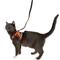 Show in main carousel: Travel Cat The True Adventurer Reflective Cat & Kitten Harness & Leash, The Hawaiian Shirt, Small slide 7 of 12