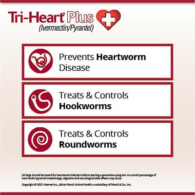 Show full view: Tri-Heart Plus Chewable Tablet for Dogs, 51-100 lbs, (Brown Box), 6 Chewable Tablets (6-mos. supply) slide 4 of 9