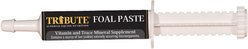 Tribute Equine Nutrition Advance Paste Digestive & Nutritional Horse Supplement, 1-oz tube