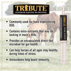 Tribute Equine Nutrition Advance Paste Digestive & Nutritional Horse Supplement, 1-oz tube slide 2 of 5