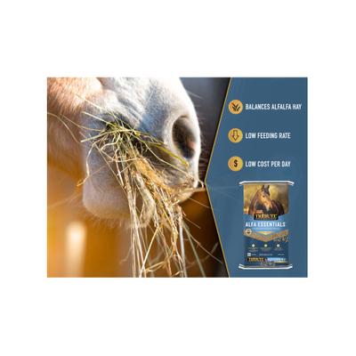 Show full view: Tribute Equine Nutrition Alfa Essentials Pellets Horse Feed, 50-lb bag slide 5 of 8