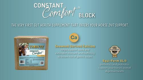Show full view: Tribute Equine Nutrition Constant Comfort Gastric Health Horse Supplement, 15-lbs block slide 3 of 9