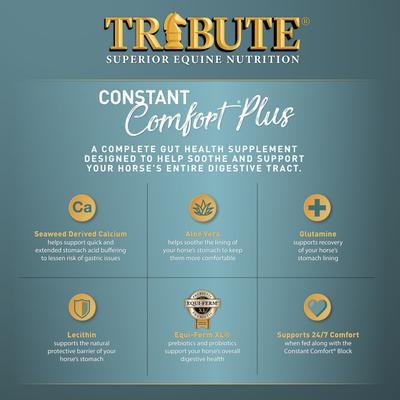 Show full view: Tribute Equine Nutrition Constant Comfort Plus Gut Health Horse Supplement, 40-lbs bag slide 5 of 10