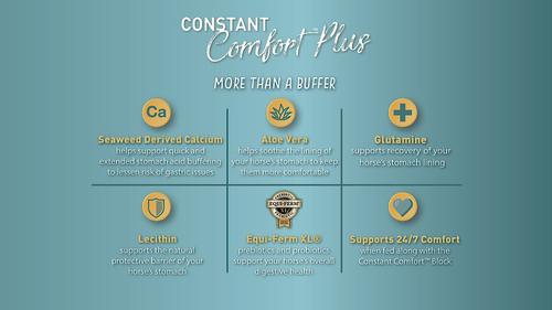 Show full view: Tribute Equine Nutrition Constant Comfort Plus Gut Health Horse Supplement, 40-lbs bag slide 5 of 10