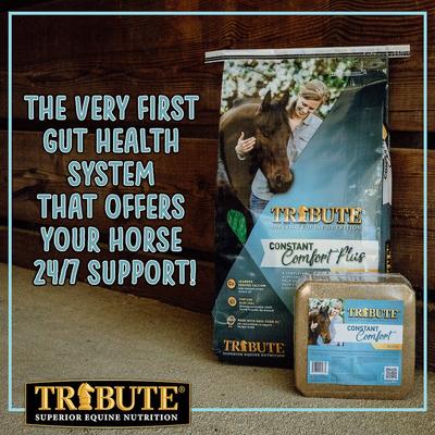 Show full view: Tribute Equine Nutrition Constant Comfort Plus Gut Health Horse Supplement, 40-lbs bag slide 6 of 10