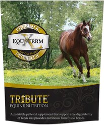 Tribute Equine Nutrition Equi-Ferm X-Large Prebiotic & Probiotic Pellets Horse Supplement, 7.5-lb bag