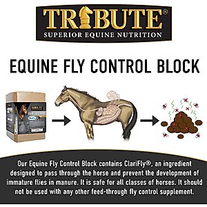 Tribute Equine Nutrition Equine Fly Control Block Horse Supplement, 33-lb block
