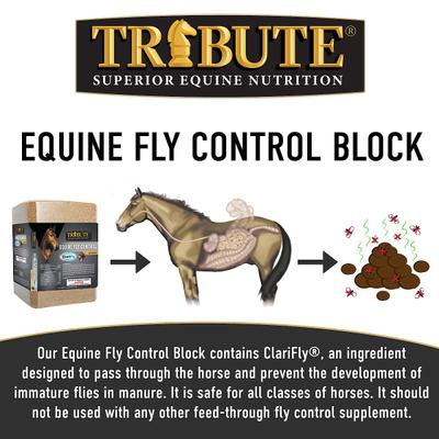Show full view: Tribute Equine Nutrition Equine Fly Control Block Horse Supplement, 33-lb block slide 2 of 5