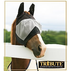 Tribute Equine Nutrition Equine Fly Control Block Horse Supplement, 33-lb block