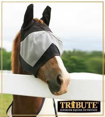 Show full view: Tribute Equine Nutrition Equine Fly Control Block Horse Supplement, 33-lb block slide 4 of 5