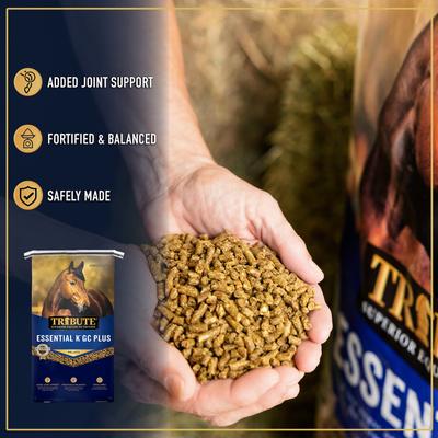 Show full view: Tribute Equine Nutrition Essential K GC Plus Low-NSC, Joint Support Horse Feed, 50-lb bag slide 6 of 9