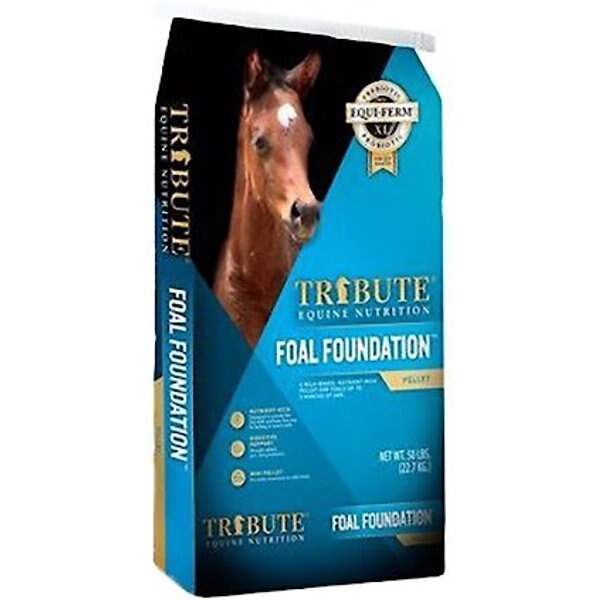 Tribute Equine Nutrition Foal Foundation Milk-Based Horse Feed