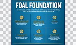 Tribute Equine Nutrition Foal Foundation Milk-Based Horse Feed, 50-lb bag slide 2 of 5