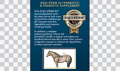 Show full view: Tribute Equine Nutrition Foal Foundation Milk-Based Horse Feed, 50-lb bag slide 3 of 6