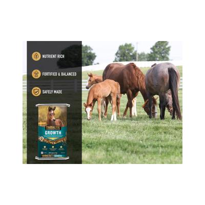 Show full view: Tribute Equine Nutrition Growth Textured Horse Feed, 50-lb bag slide 5 of 10