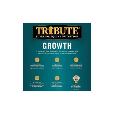 Show full view: Tribute Equine Nutrition Growth Textured Horse Feed, 50-lb bag slide 7 of 10