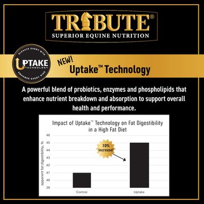 Show full view: Tribute Equine Nutrition Kalm 'N EZ GC Plus Low-NSC, Joint Support Horse Feed, 50-lb bag slide 7 of 11