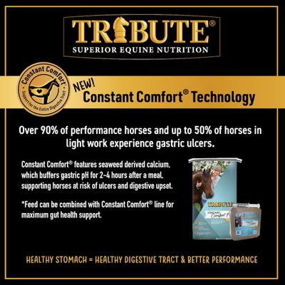 Show full view: Tribute Equine Nutrition Kalm 'N EZ GC Plus Low-NSC, Joint Support Horse Feed, 50-lb bag slide 8 of 11