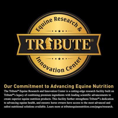 Show full view: Tribute Equine Nutrition Kalm 'N EZ GC Plus Low-NSC, Joint Support Horse Feed, 50-lb bag slide 9 of 11