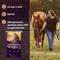 Show in main carousel: Tribute Equine Nutrition Kalm 'N EZ GC Plus Low-NSC, Joint Support Horse Feed, 50-lb bag slide 5 of 11