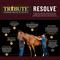 Show in main carousel: Tribute Equine Nutrition Resolve High Fat Horse Feed, 50-lb bag slide 6 of 9