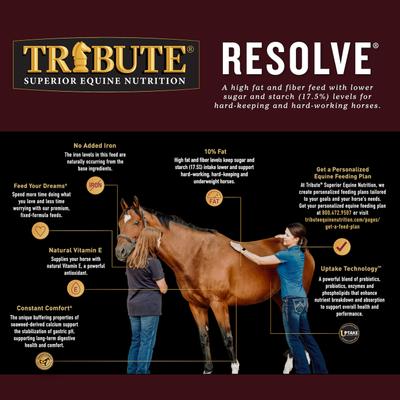 Show full view: Tribute Equine Nutrition Resolve High Fat Horse Feed, 50-lb bag slide 6 of 9