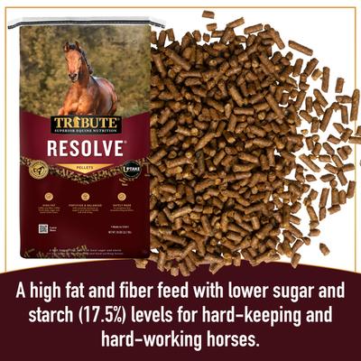 Show full view: Tribute Equine Nutrition Resolve High Fat Horse Feed, 50-lb bag slide 4 of 9