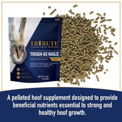 Show full view: Tribute Equine Nutrition Tough As Nails Hoof Health Pellets Horse Supplement, 11-lb bag slide 3 of 6