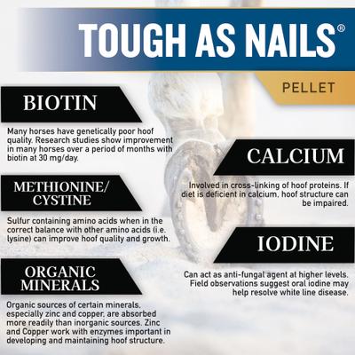 Show full view: Tribute Equine Nutrition Tough As Nails Hoof Health Pellets Horse Supplement, 11-lb bag slide 4 of 6