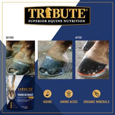 Show full view: Tribute Equine Nutrition Tough As Nails Hoof Health Pellets Horse Supplement, 11-lb bag slide 5 of 6