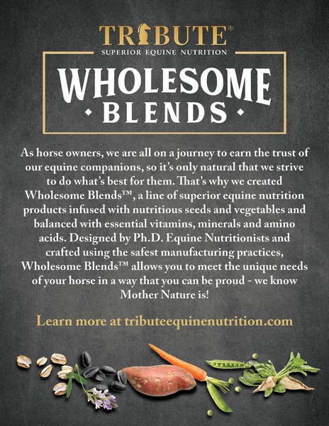 Show full view: Tribute Equine Nutrition Wholesome Blends Balancer Horse Feed, 50-lb bag slide 3 of 11