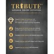 Show in main carousel: Tribute Equine Nutrition Wholesome Blends Balancer Horse Feed, 50-lb bag slide 7 of 11