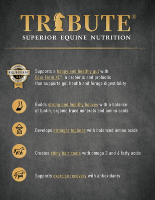 Show full view: Tribute Equine Nutrition Wholesome Blends Balancer Horse Feed, 50-lb bag slide 7 of 11