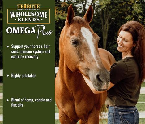 Show full view: Tribute Equine Nutrition Wholesome Blends Omega Plus Anti-Inflammatory Liquid Horse Supplement, 7-lb jug slide 4 of 4